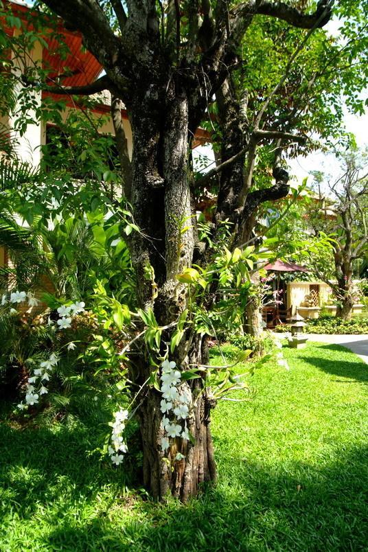 Iyarintara Resort Chiang Mai Hang Dong Exterior foto